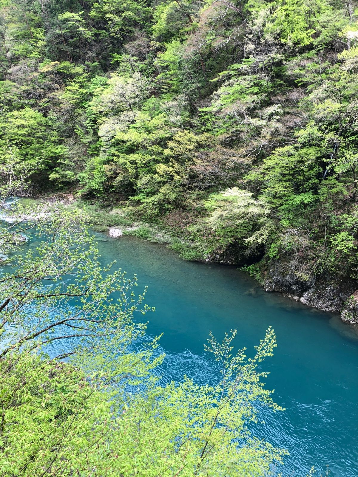 抱返り渓谷へ
駐車場から約20分渓谷沿いを歩いて回顧の滝までハイキング