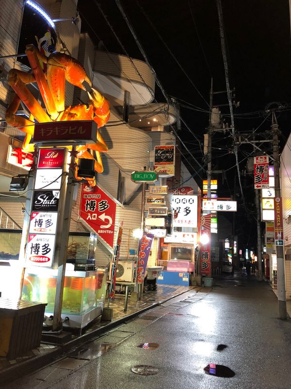 日本・島根県「20年12月　松江出雲境港の旅」の写真：松江ナイト