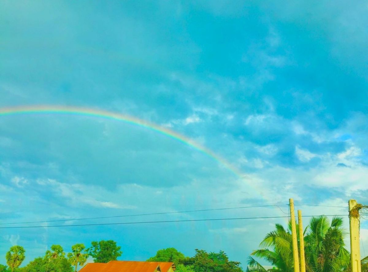 20th Nov. 2016 pic📷

in Siem Reap

シェ...