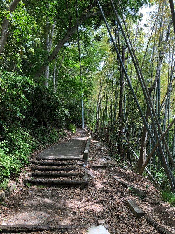 日本・神奈川県「ハイキング」の写真