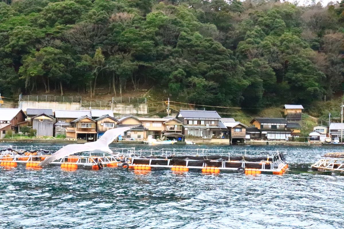 
日本で最も美しい村
京都府伊根町

船屋

