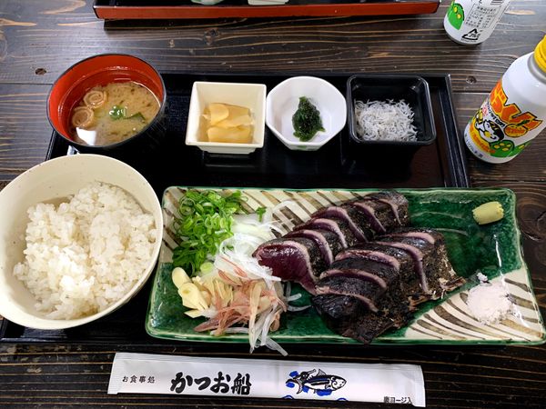 日本・高知県「高知」の写真