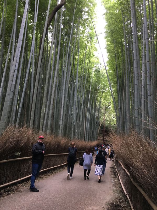日本・京都府「京都」の写真