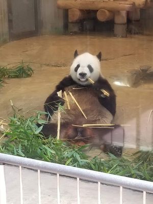 上野動物園