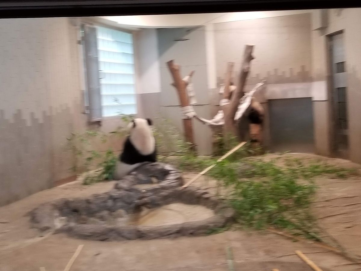 上野動物園