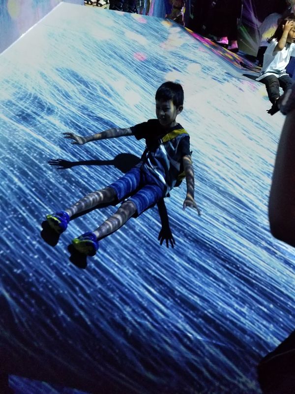 日本・東京都「お台場&上野動物園」の写真：チームラボ