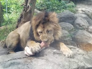 上野動物園