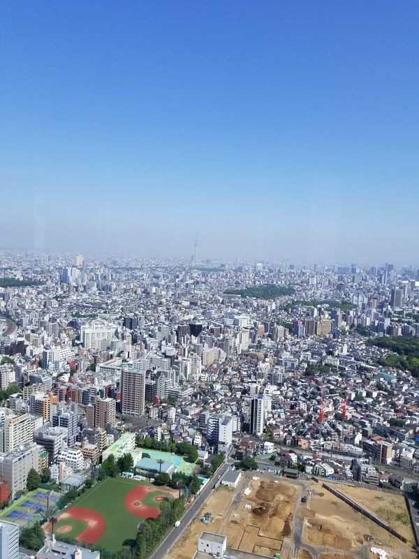 日本・神奈川県「東京横浜界隈」の写真