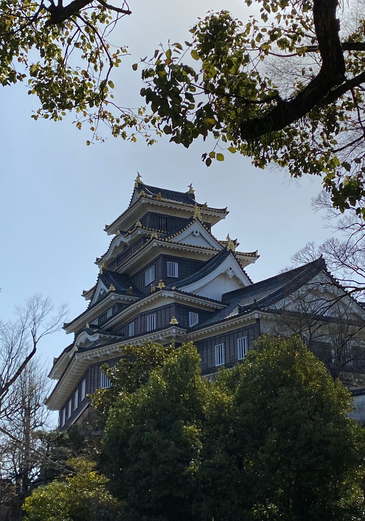 青春18きっぷで四国は愛媛を目指す旅。
まずは岡山で寄り道。