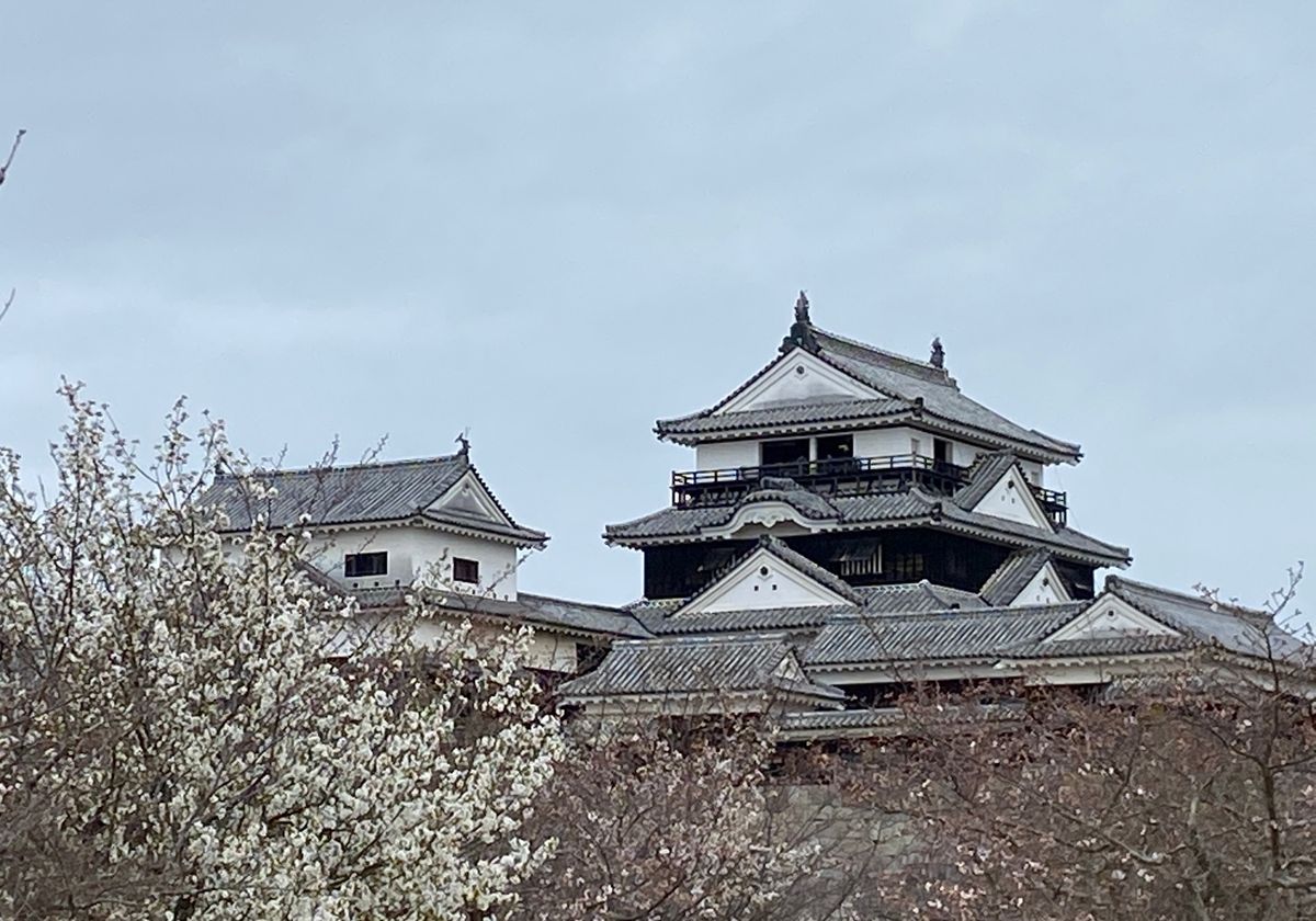 松山城。
ちょっと天気は良くなかったけど、蛇口から出るオレンジジュースをお...