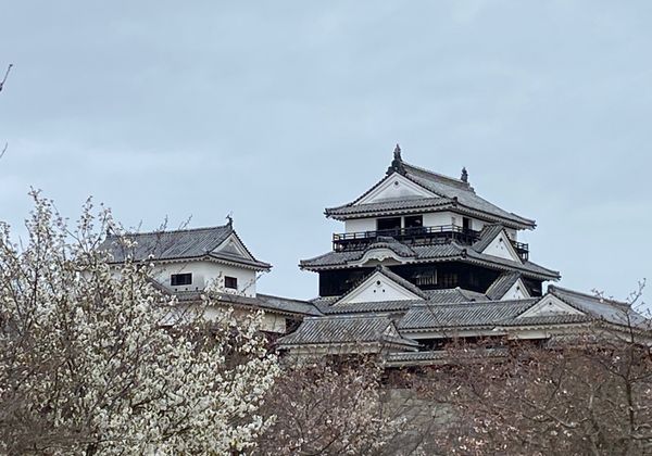 日本・岡山「心の洗濯をしに愛媛」の写真：松山城。
ちょっと天気は良くなかったけど...