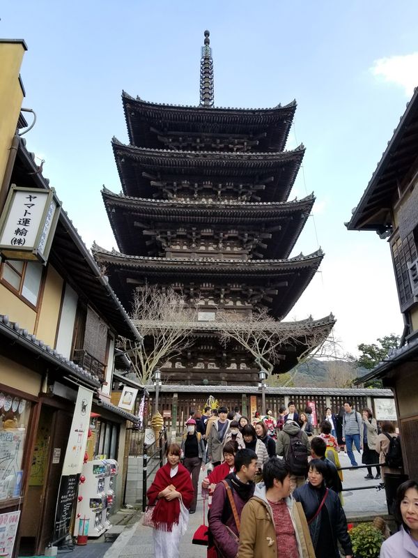 日本・京都府「大阪京都旅」の写真