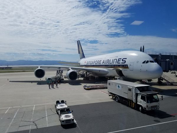 ベトナム・ダナン「ダナンへの旅」の写真