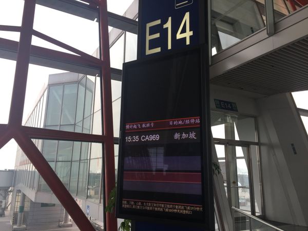 シンガポール・シンガポール「1泊3日北京経由弾丸シンガポール撮影旅行」の写真：CA969　PEK-SIN
B-5919...