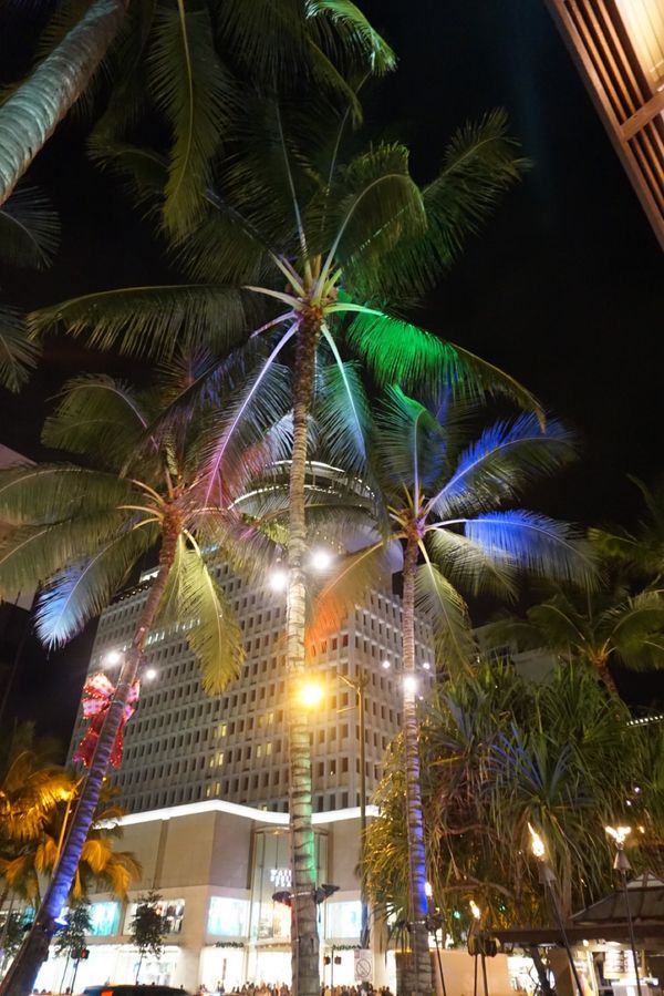 アメリカ(米国)・ホノルル「ホノルルマラソン」の写真：念願のホノルルマラソン。
夏のサンタさん...