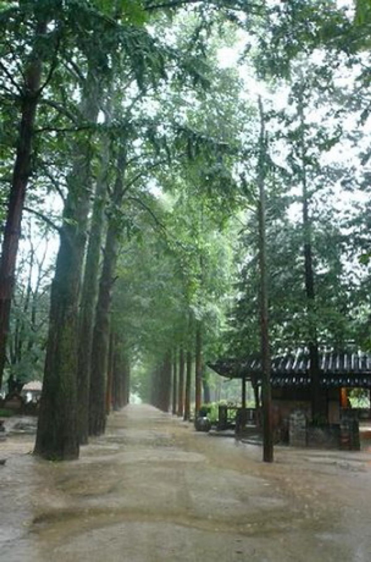 ★2日目

今日は≪冬のソナタとチャンムグ≫のオプショナルツアー。
友達の...