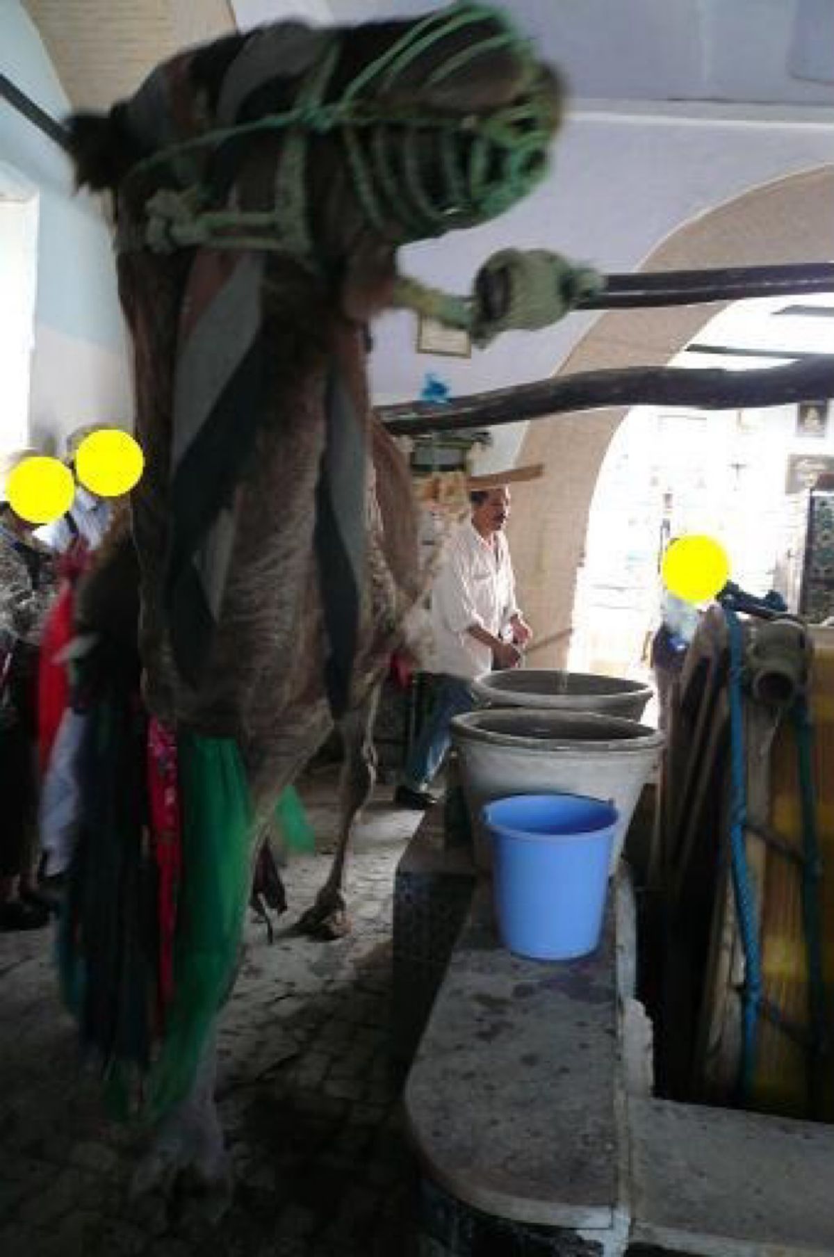 ★2日目

ここはラクダが水をくみ上げる井戸の実演。

ラクダが井戸の周囲...