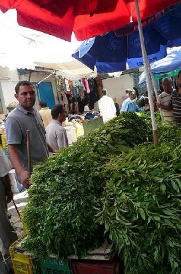 チュニジア・チュニジア「チュニジア」の写真：★2日目

２日目はあまり1日目と変わら...