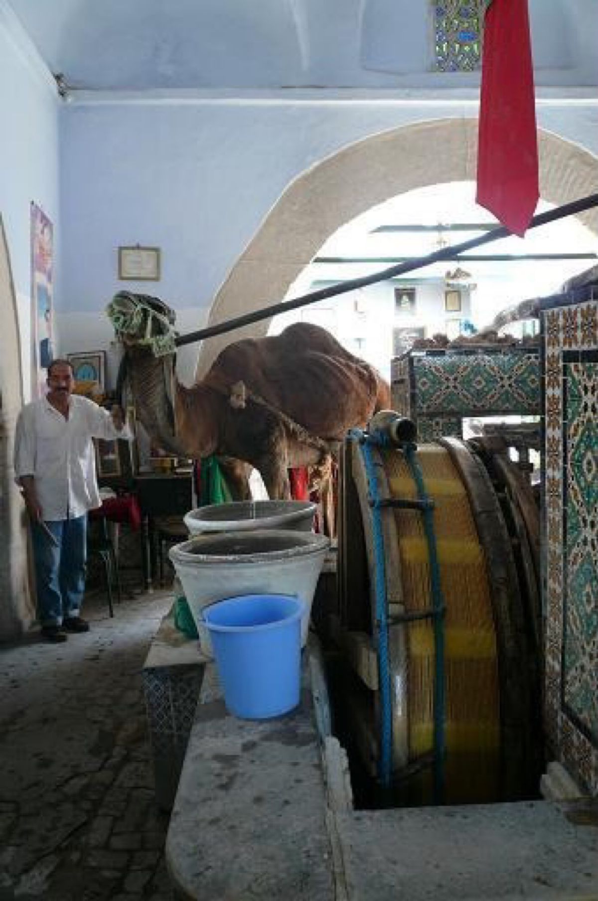 ★2日目

ここはラクダが水をくみ上げる井戸の実演。

ラクダが井戸の周囲...