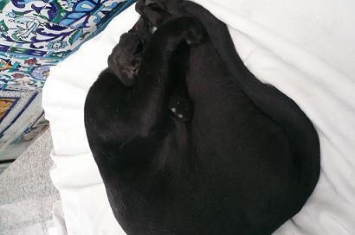 ★1日目

お昼頃に到着。

「お～眩しいビックリマーク湿気がない(ﾉ´▽...