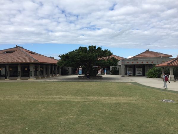 日本・沖縄県「沖縄出張旅行」の写真