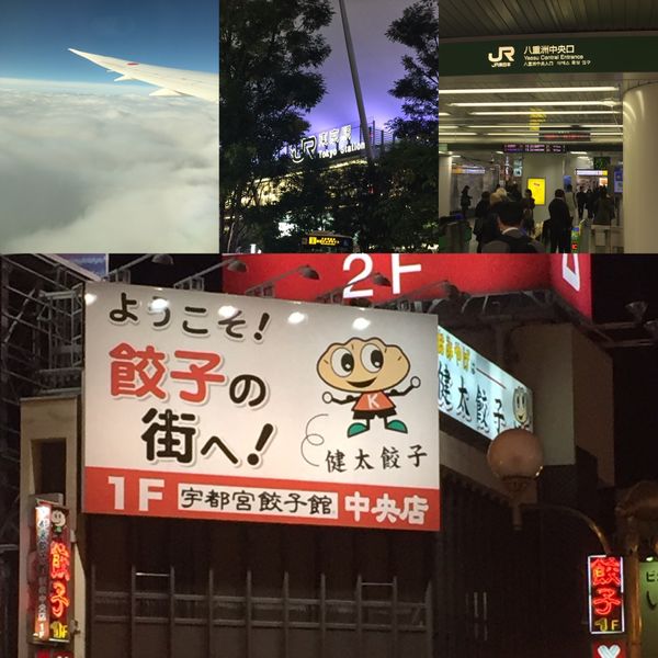 日本・栃木県「宇都宮出張旅行」の写真