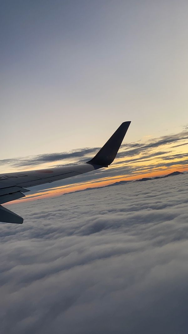 日本・北海道「合間を縫って北海道」の写真：後ろ髪を引かれる思いで帰阪の途。