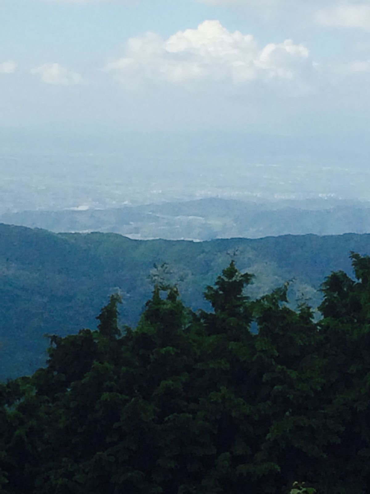 京都の五山送り火。
