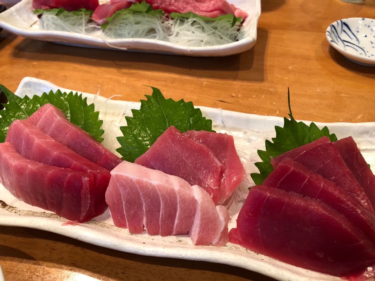 美味しいマグロと。
沢山のマイナスイオンと。
猫達に癒された。。。