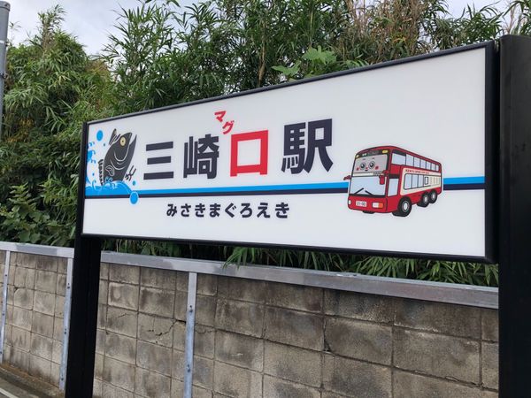 日本・三崎港「三崎のマグロ」の写真：美味しいマグロと。
沢山のマイナスイオン...