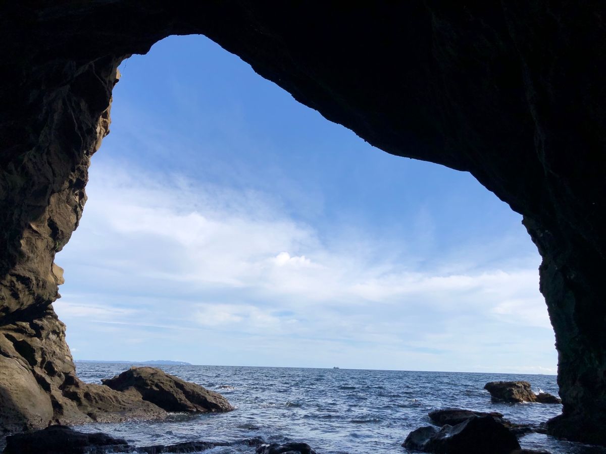 美味しいマグロと。
沢山のマイナスイオンと。
猫達に癒された。。。