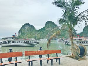 15th Jan. 2017 pic📷

Vịnh Hạ Long
ハロン...