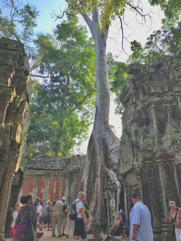 ベトナム・ハノイ「🇰🇭and🇻🇳job⚑⁎∗」の写真：14th Jan. 2017 pic📷
...