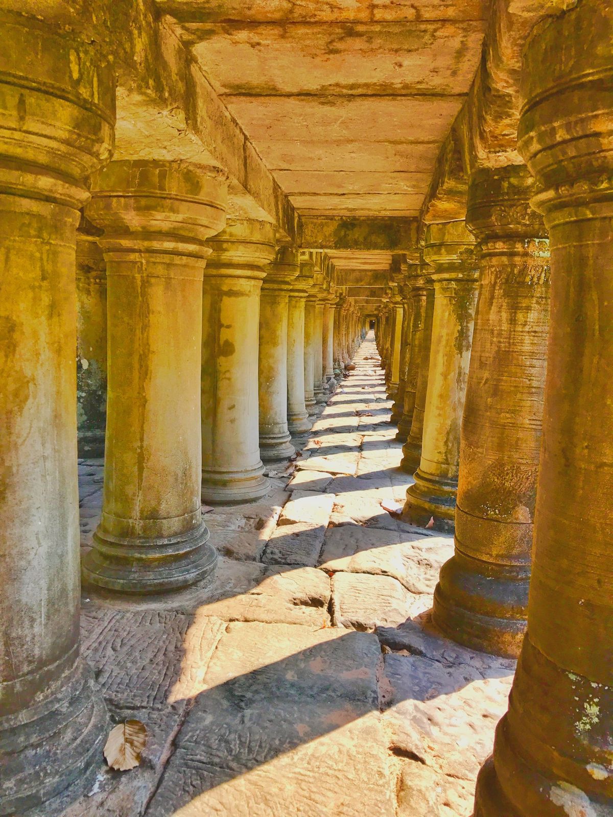 13rd Jan. 2017 pic📷

Angkor Thom
アンコー...