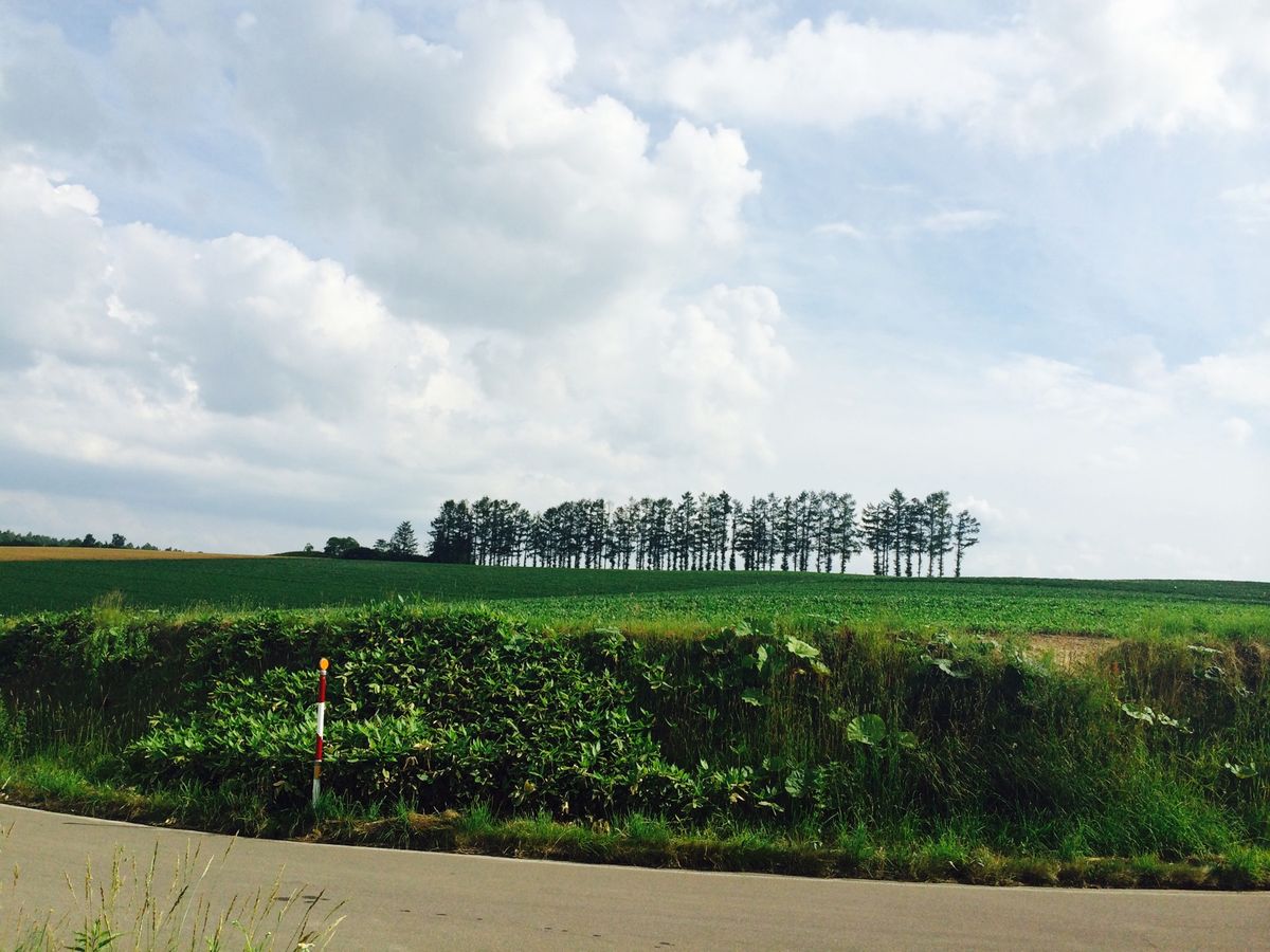 富良野、美瑛、サンタの髭