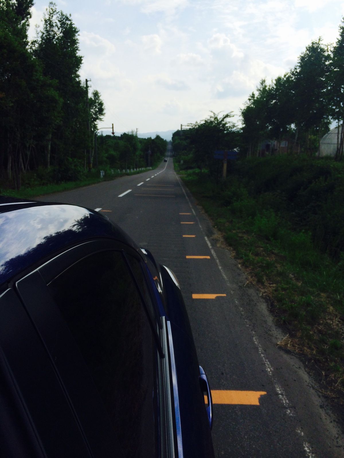 富良野、美瑛、サンタの髭