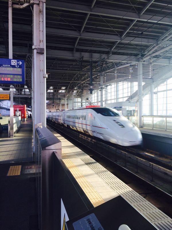 日本・京都府「西日本打上げ旅」の写真：鹿児島