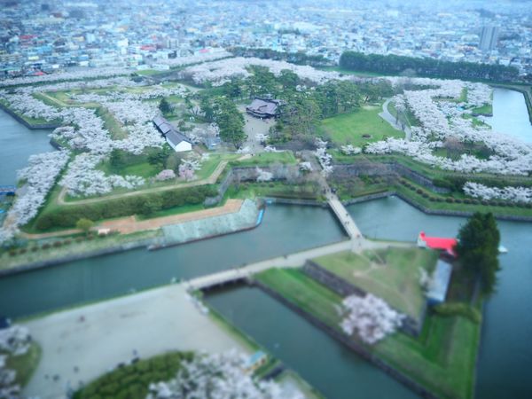日本・北海道「北海道旅行」の写真