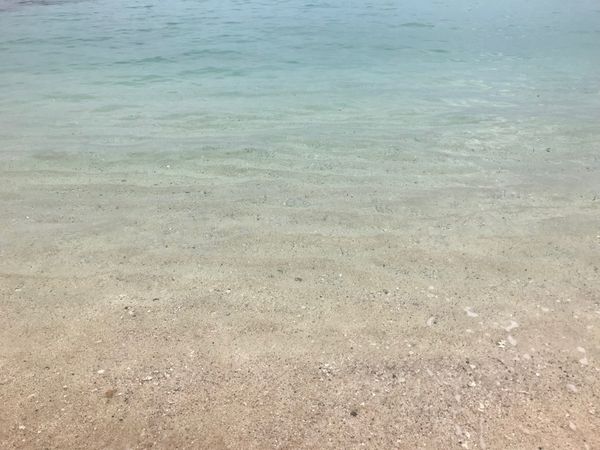 日本・鹿児島県「奄美大島」の写真