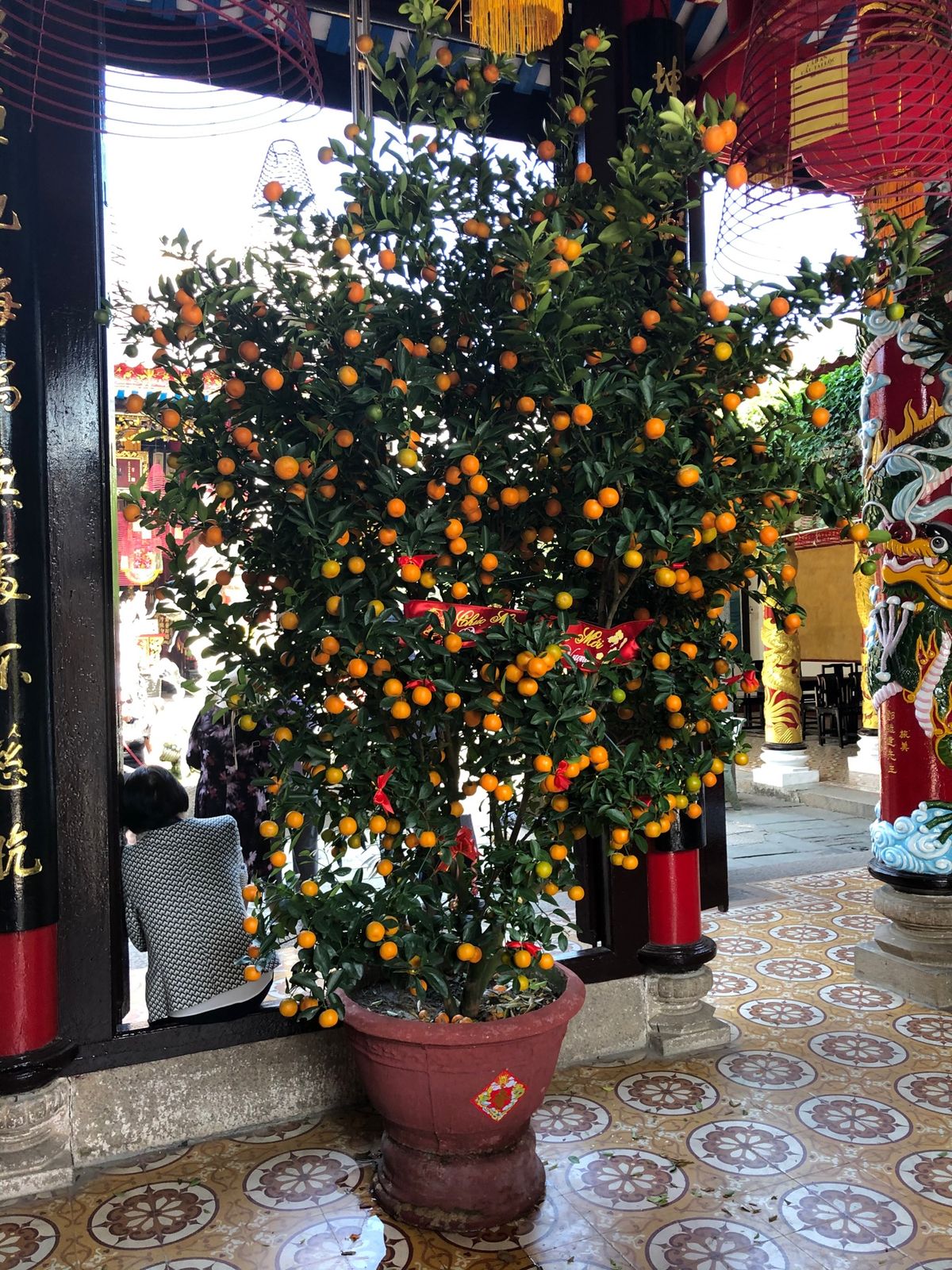 2日目　ホイアン旧市街　散策
日本橋は、やはり見ておきたかったので。
人気...