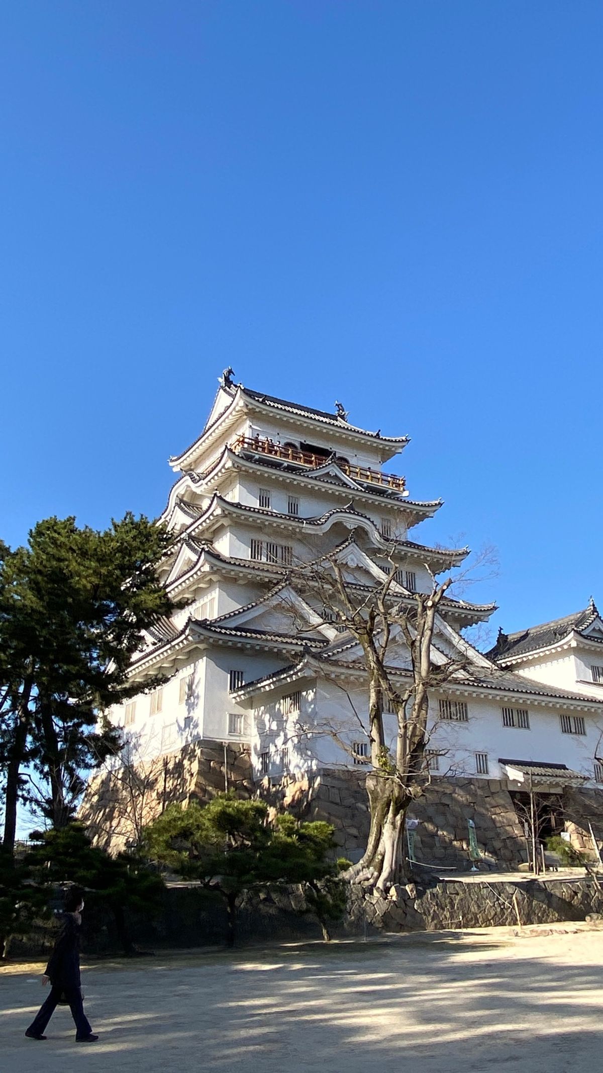 福山城を一頻り眺めて。
車中のおやつははっさく大福。
