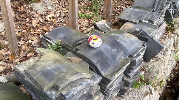 日本・広島「ビールを飲みに広島」の写真：散策。
よく晴れた尾道の空に桜映え。