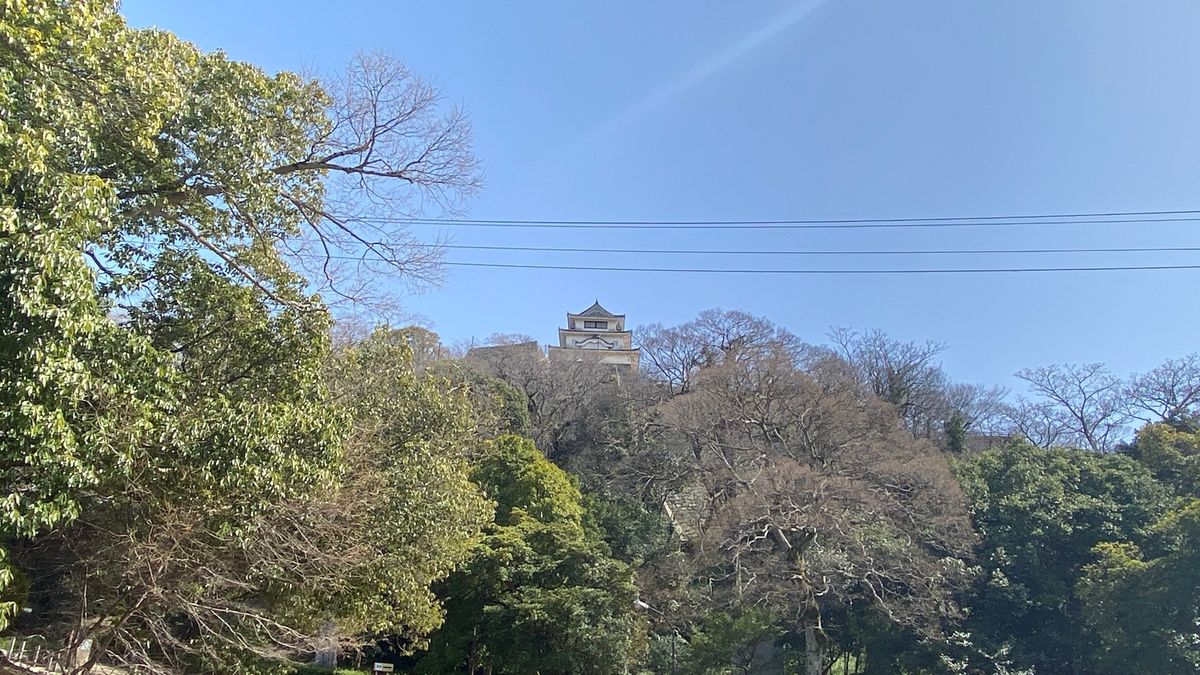 想像以上に小さかった丸亀城を眺めつつ、最後の晩餐に選んだのは一鶴さんの骨付...