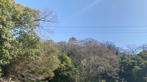 日本・広島「ビールを飲みに広島」の写真：想像以上に小さかった丸亀城を眺めつつ、最...