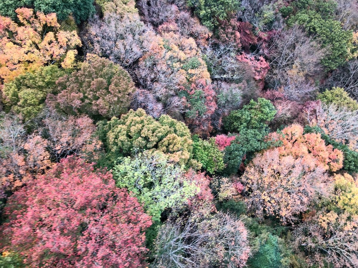 山頂からの夕陽が綺麗でした☆