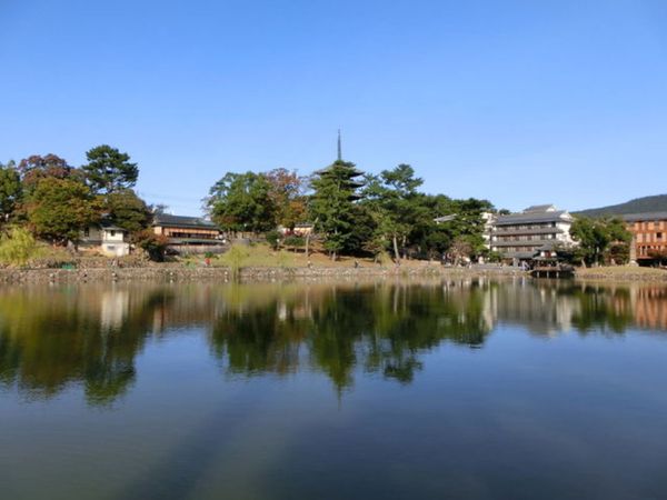 日本・奈良市「世界遺産「古都奈良の文化財:興福寺」」の写真:1枚目は猿沢池から見た五重塔、2枚目は三...