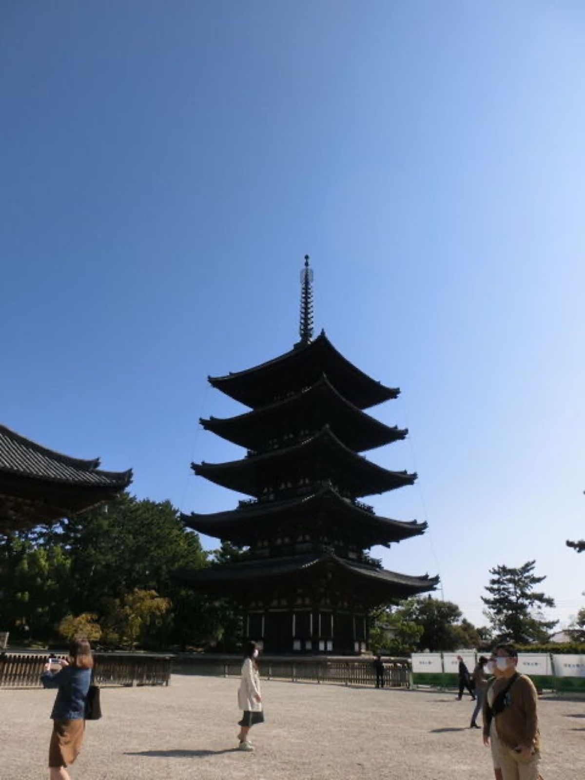 1枚目は東金堂、2枚目は中金堂から見た東金堂と五重塔、3枚目は五重塔、4枚...