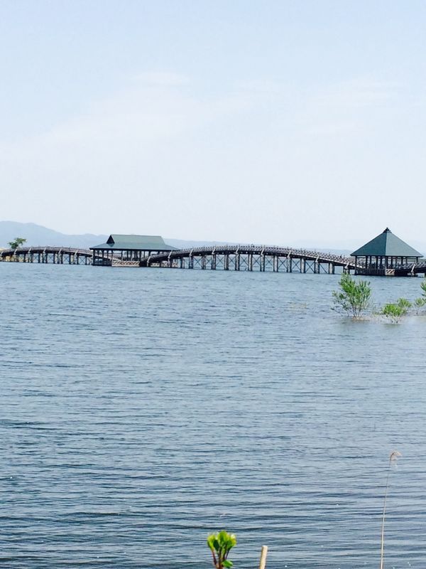 日本・青森県「ぐるっと東北旅」の写真：青森1