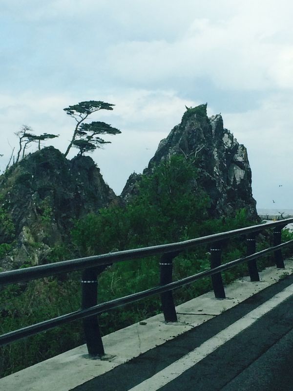 日本・青森県「ぐるっと東北旅」の写真：岩手、宮城
