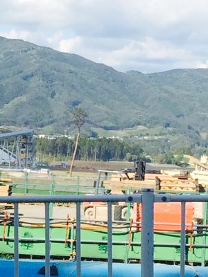 岩手、宮城